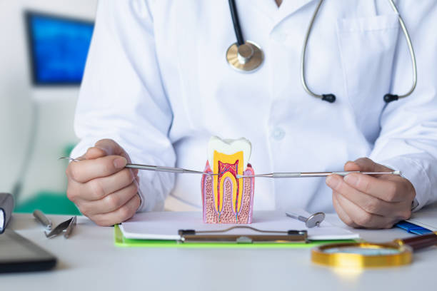 Best Holiday Emergency Dentist in Manchester, MI